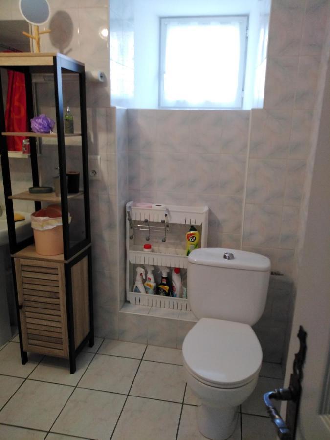 Chaleureux A La Campagne Appartement Saint-Germain-Laprade Buitenkant foto